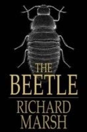 Beetle