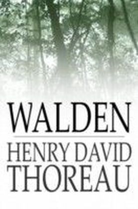 Walden main product photo