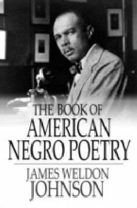 Book of American Negro Poetry