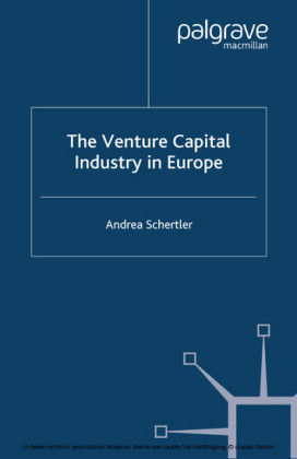 The Venture Capital Industry in Europe