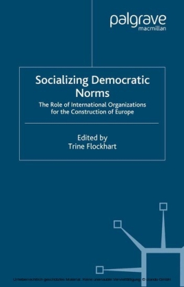 Socializing Democratic Norms