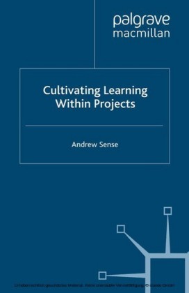 Cultivating Learning within Projects