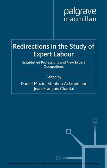 Redirections in the Study of Expert Labour main product photo