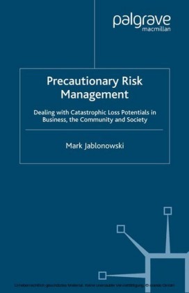 Precautionary Risk Management