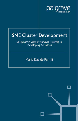 SME Cluster Development
