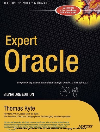 Expert One-on-One Oracle main product photo
