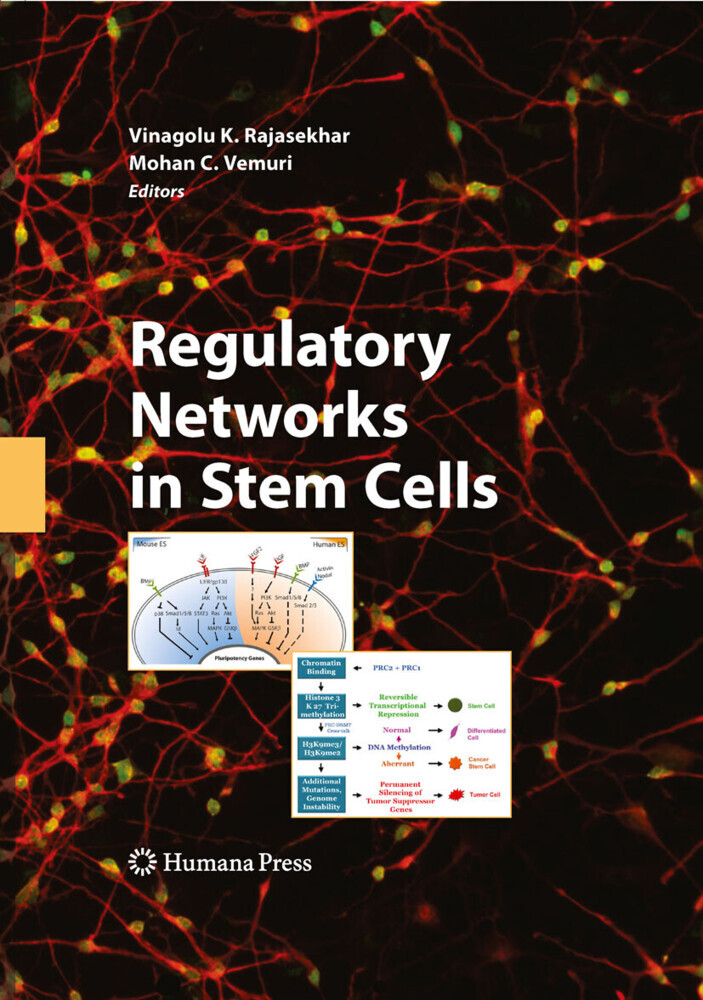 Regulatory Networks in Stem Cells main product photo