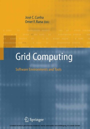 Grid Computing: Software Environments and Tools