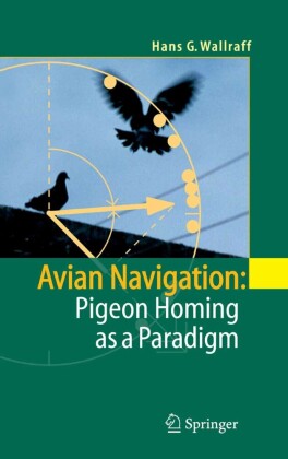 Avian Navigation: Pigeon Homing as a Paradigm
