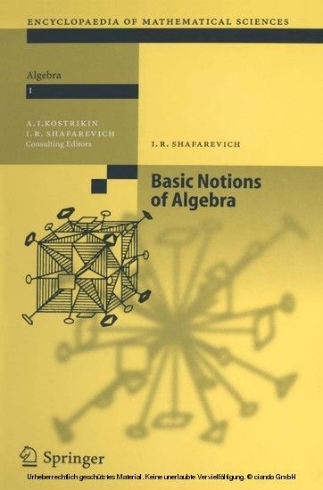 Basic Notions of Algebra main product photo