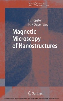 Magnetic Microscopy of Nanostructures