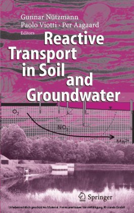 Reactive Transport in Soil and Groundwater