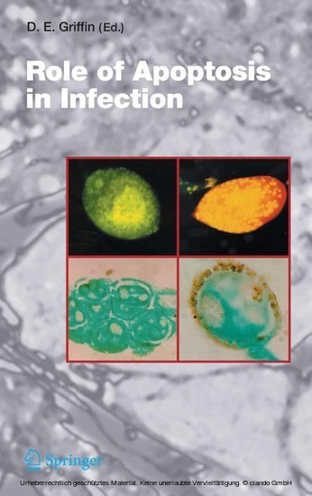 Role of Apoptosis in Infection main product photo