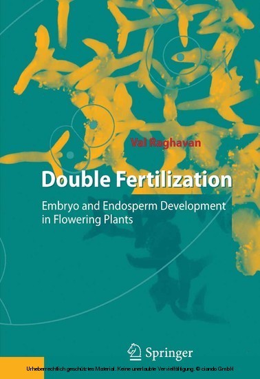 Double Fertilization main product photo