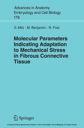 Molecular Parameters Indicating Adaptation to Mechanical Stress in Fibrous Connective Tissue