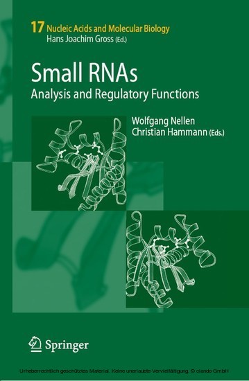Small RNAs: main product photo