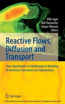 Reactive Flows, Diffusion and Transport