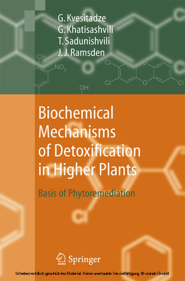 Biochemical Mechanisms of Detoxification in Higher Plants main product photo