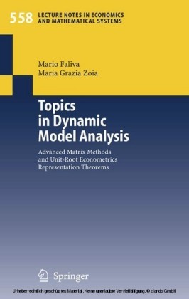 Topics in Dynamic Model Analysis