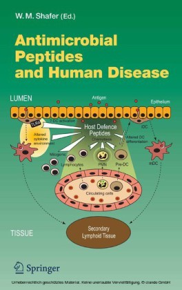 Antimicrobial Peptides and Human Disease