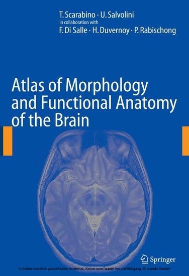 Atlas of Morphology and Functional Anatomy of the Brain main product photo