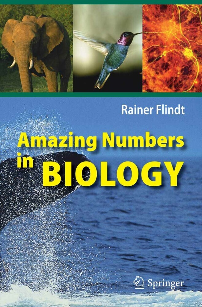 Amazing Numbers in Biology main product photo