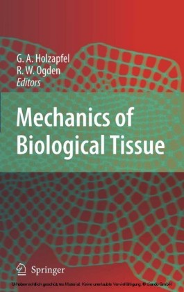 Mechanics of Biological Tissue