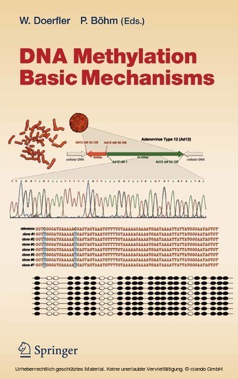 DNA Methylation: Basic Mechanisms main product photo