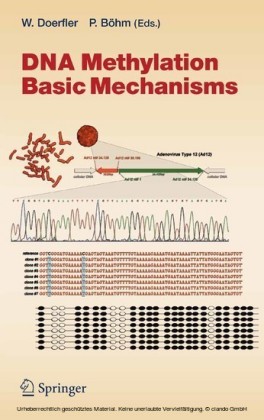 DNA Methylation: Basic Mechanisms