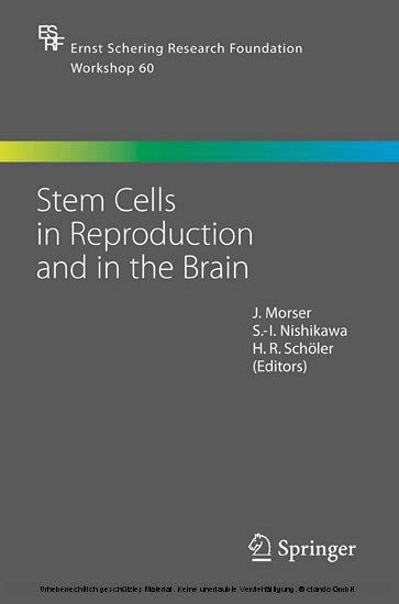 Stem Cells in Reproduction and in the Brain main product photo