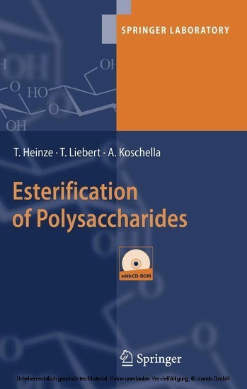 Esterification of Polysaccharides main product photo