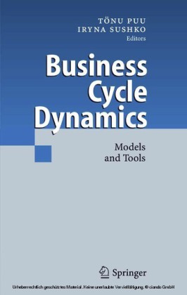 Business Cycle Dynamics