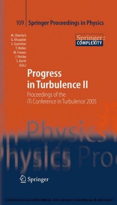 Progress in Turbulence II