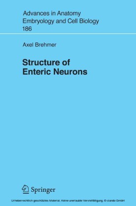 Structure of Enteric Neurons