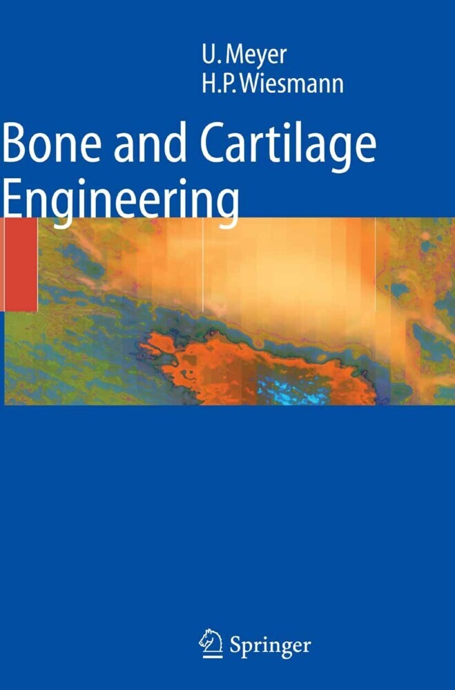 Bone and Cartilage Engineering main product photo