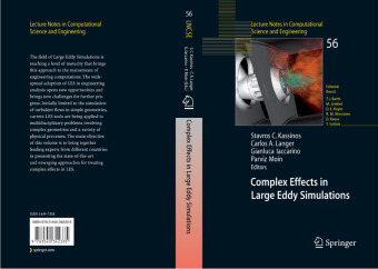 Complex Effects in Large Eddy Simulations