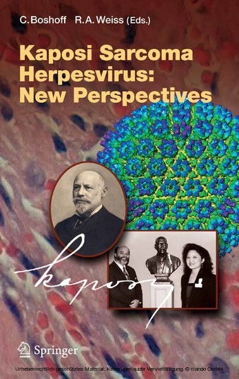 Kaposi Sarcoma Herpesvirus: New Perspectives main product photo