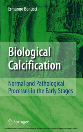 Biological Calcification