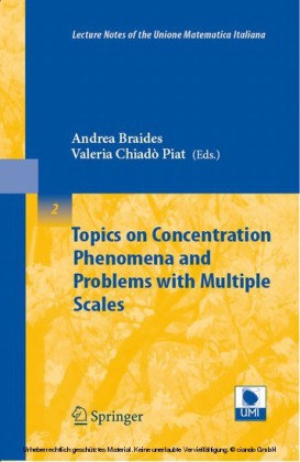 Topics on Concentration Phenomena and Problems with Multiple Scales