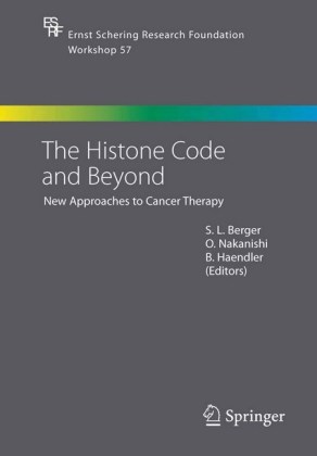 The Histone Code and Beyond