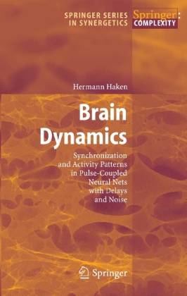 Brain Dynamics - Synchronization and Activity Patterns in Pulse-Coupled Neural Nets with Delays and Noise
