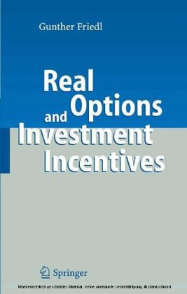 Real Options and Investment Incentives