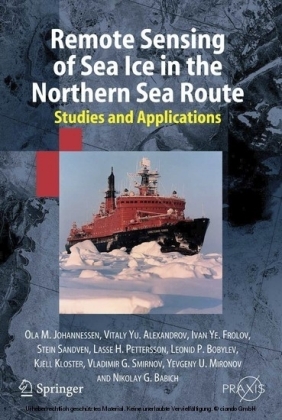 Remote Sensing of Sea Ice in the Northern Sea Route