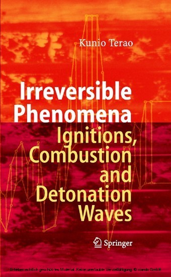Irreversible Phenomena main product photo
