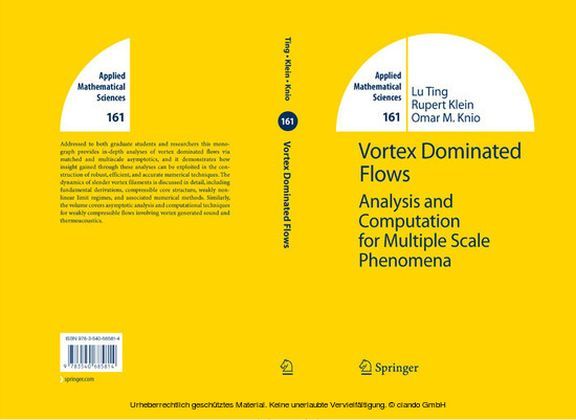 Vortex Dominated Flows main product photo