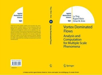 Vortex Dominated Flows