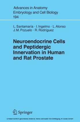 Neuroendocrine Cells and Peptidergic Innervation in Human and Rat Prostrate