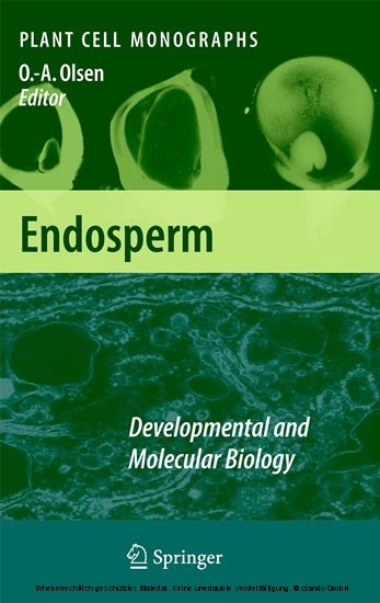 Endosperm main product photo
