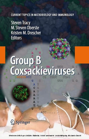 Group B Coxsackieviruses main product photo