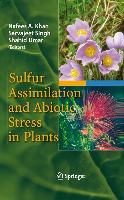 Sulfur Assimilation and Abiotic Stress in Plants main product photo